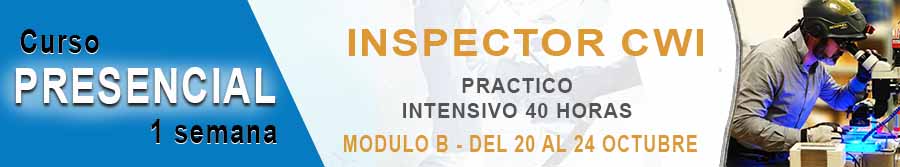baner curso inspector cwi